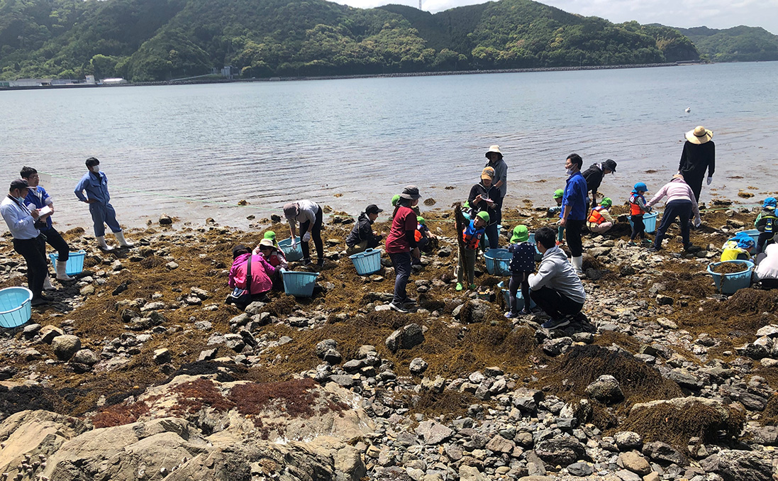 収穫・ふりかけづくり体験